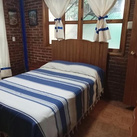 Coyoacan Departamento Tipo Colonial Mexico by Eksteriør bilde