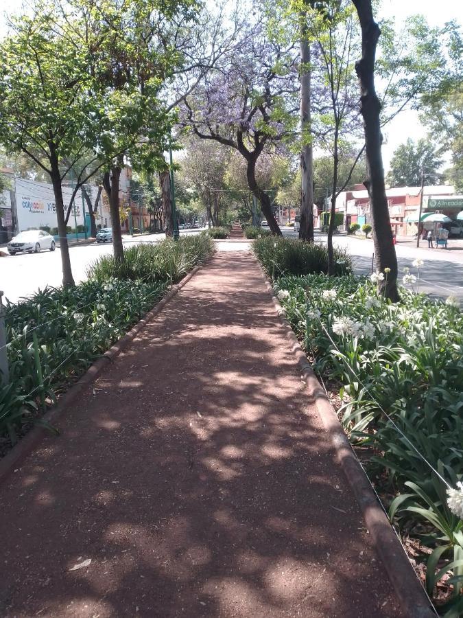 Coyoacan Departamento Tipo Colonial Mexico by Eksteriør bilde